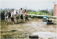 Village Development